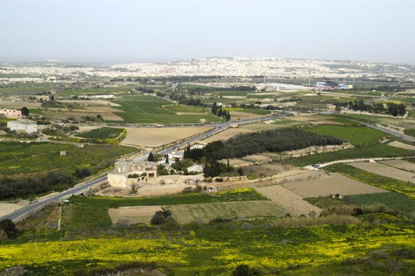 View north from Mdina