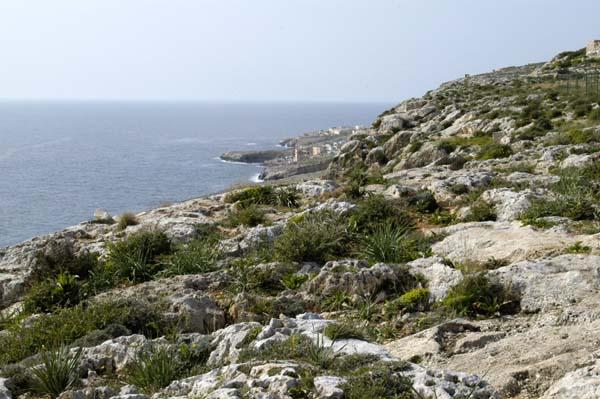 Rocky coast south of Ħaġar Qim