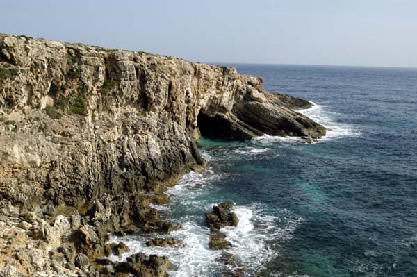 The coast at Ħaġar Qim