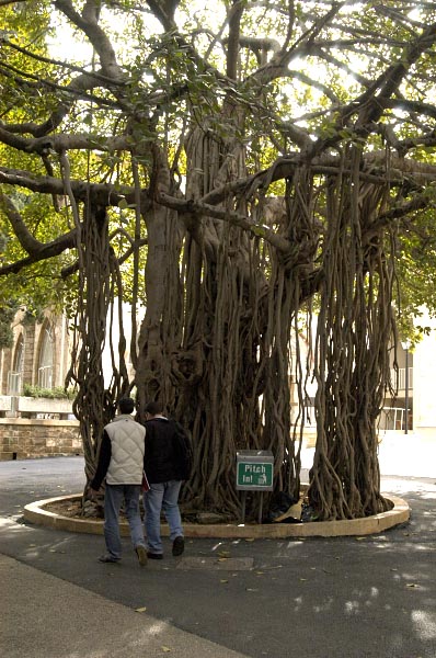 Campus of American Univerisity Beirut