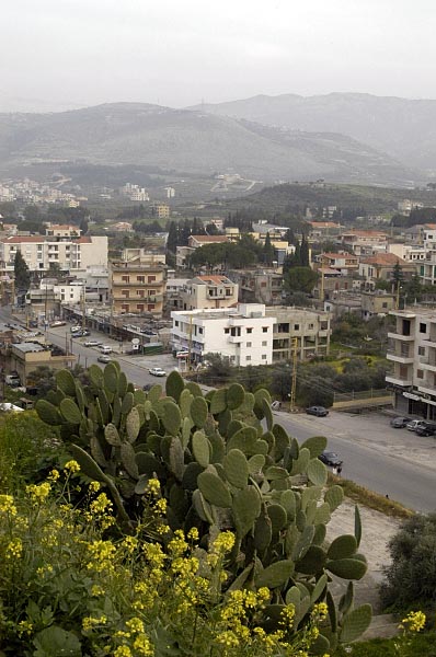 Amioun, at the foot of the Lebanon Range