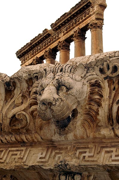Carved lion water spout from the top of the Temple of Jupiter