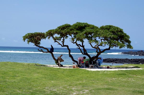 Public Beach at La Cambuse, Mauritius