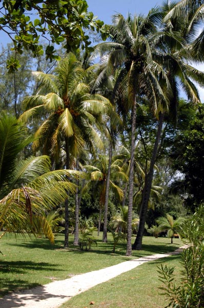 Shandrani Hotel grounds