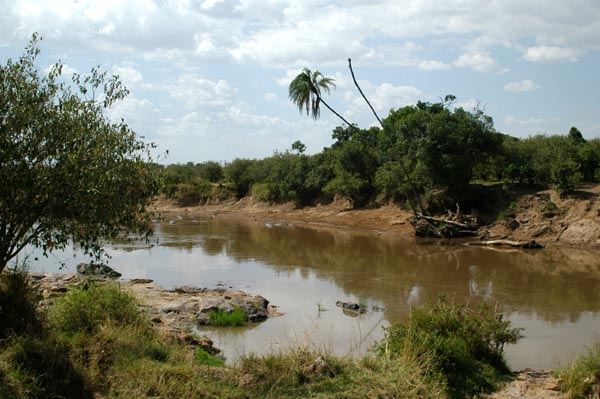 Hippo Pools at the Mara River