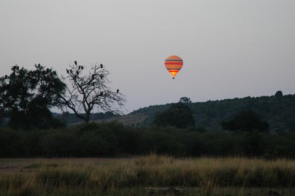 Balloon lit up over a tree of vultures