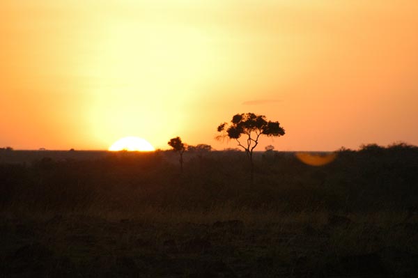 Sunrise over the Mara River