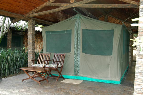 Tent at Fig Tree