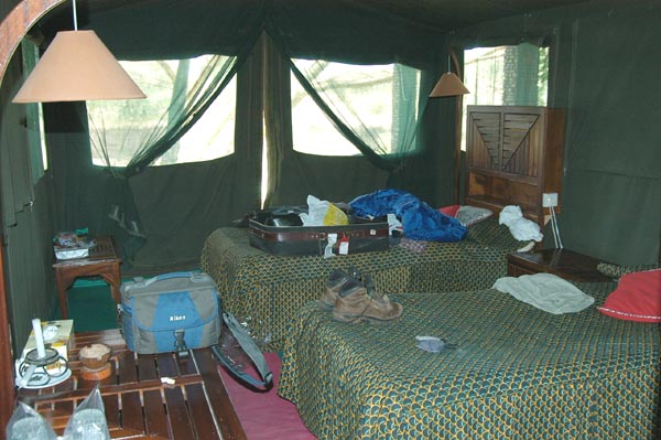 Tent at Fig Tree