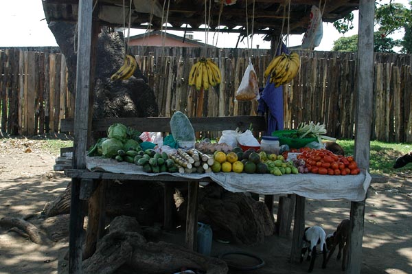 Fruit stand in Nakuru