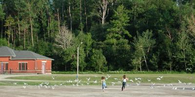 Chasing Sea gulls - Goderich, Ontario