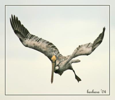 Going down   IMG_1367.jpg