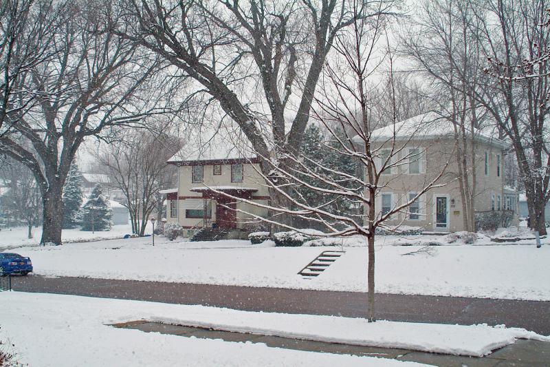 The Ides of March Snow =3-15-2004