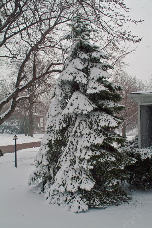 The Ides of March Snow 2004