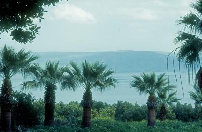 Sea of Galilee from Grounds of the Church of the Beatitudes