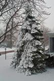 The Ides of March Snow 2004
