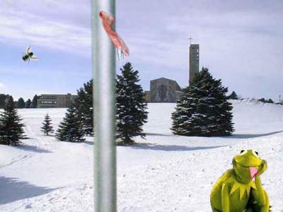 20040301kermit.jpg