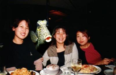 20040304fishheads.jpg