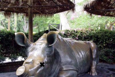 20010319poachedrhino.jpg
