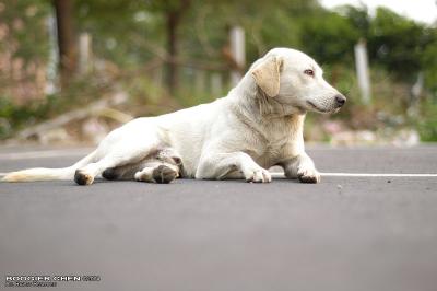 u41/boogier/medium/26991870.nameless9033.jpg