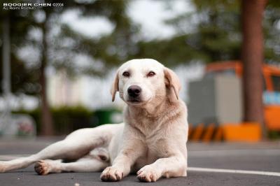 u41/boogier/medium/26992004.nameless9036.jpg