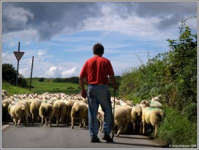 TRAFFIC CONGESTION NORTH WALES