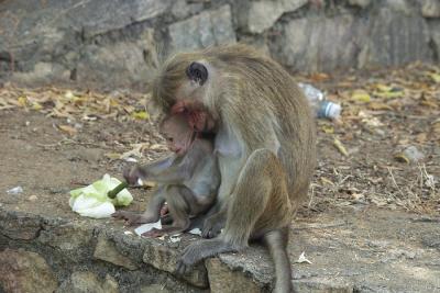 022 Mother and child