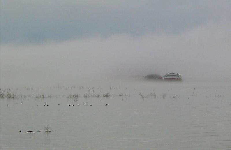 Pea Soup.jpg