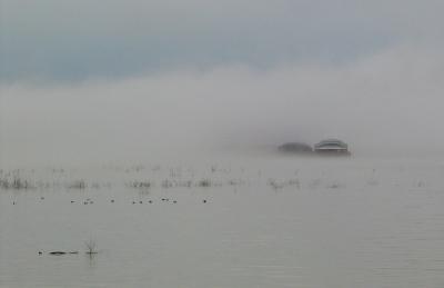 Pea Soup.jpg