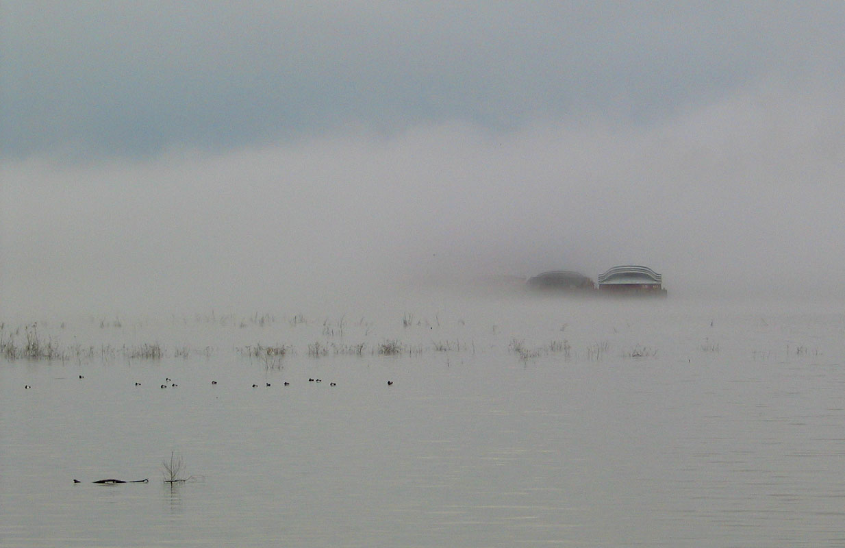 Pea Soup.jpg