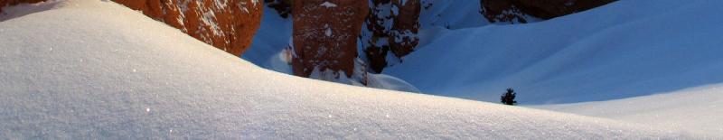 Panorama #3