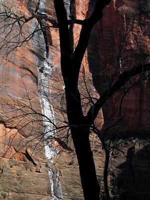 In Zion Canyon