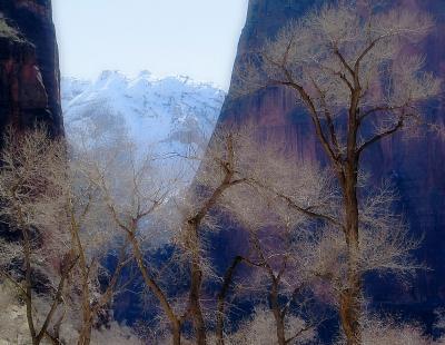 Winter, Zion Canyon