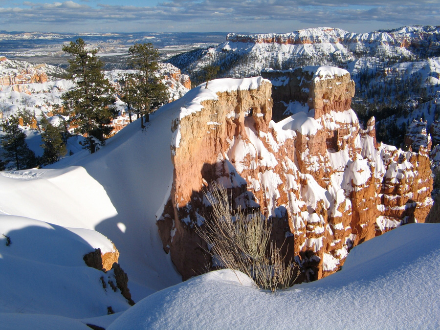 Winter Landscape