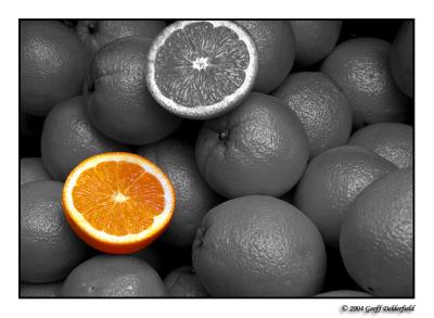 oranges