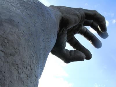 Awakening--Arm from an ant's eye view