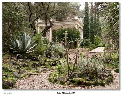 Succulent Garden