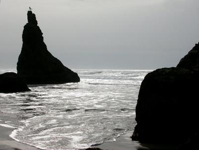 Bandon Beach 8591