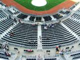 Seats Behind Home Plate