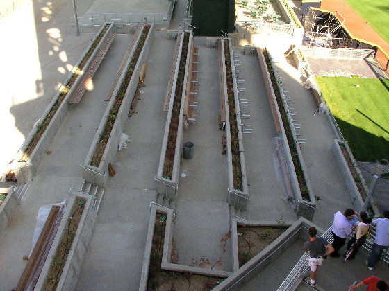 Terraced Bleachers In The Outfield