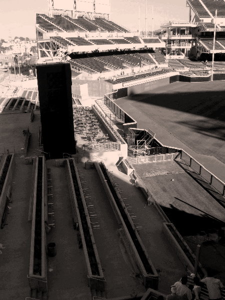 Outfield In Sepia