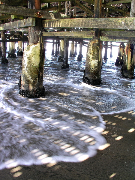 Wet Sunspots