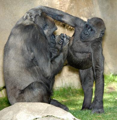 Not Now Junior, my nails are WET!