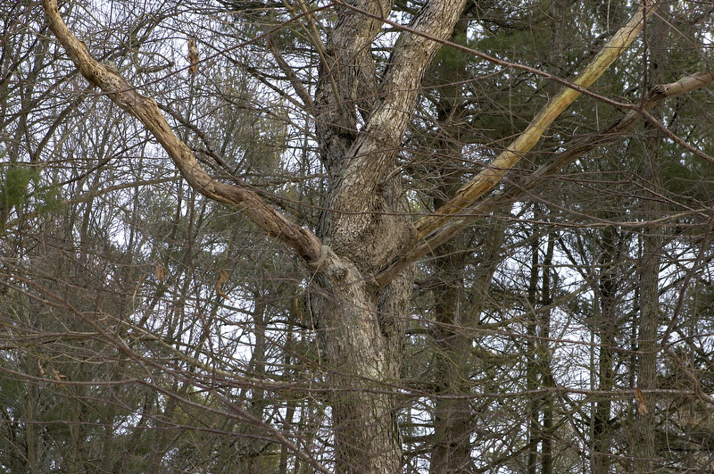 slt_bensonbrook_270.jpg