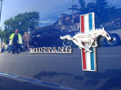 Mustang Badge