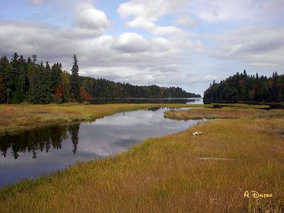 Grassy Waters