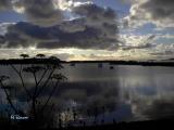 A View from Our Island