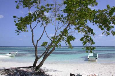 Beach near Majahual -  Near Costa Maya