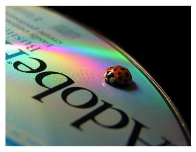 This one was on my cd, at my desk. I couldnt resist.