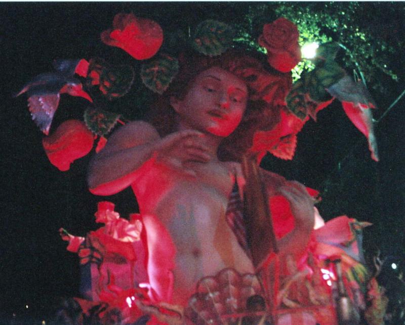 Venus Float